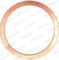Payen KJ854 - Anello di tenuta, vite di scarico olio www.autoricambi360.it