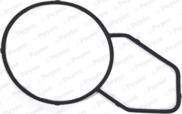 Payen KK5744 - Guarnizione, Alloggiam. termostato www.autoricambi360.it