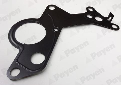Payen KK5746 - Guarnizione, Pompa carburante www.autoricambi360.it