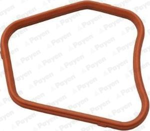 Payen KK5734 - Guarnizione, Termostato www.autoricambi360.it