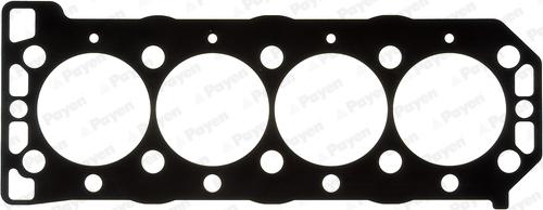 Payen KM5021 - Guarnizione, Testata www.autoricambi360.it