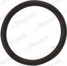 Payen LA5120 - Anello di tenuta, vite di scarico olio www.autoricambi360.it