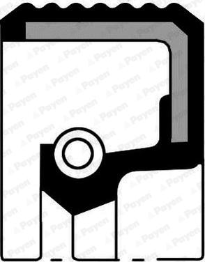 Payen NA5449 - Paraolio, Cambio manuale www.autoricambi360.it