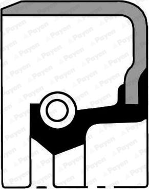 Payen NA5468 - Paraolio, Cambio manuale www.autoricambi360.it