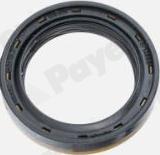 Payen NA5503 - Anello tenuta, Differenziale www.autoricambi360.it
