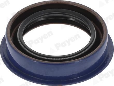 Payen NA5514 - Anello tenuta, Differenziale www.autoricambi360.it