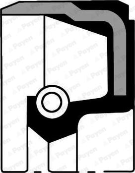 Payen NB807 - Paraolio, Albero a camme www.autoricambi360.it