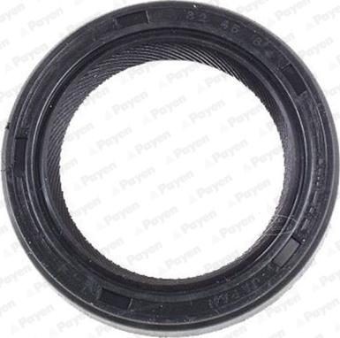 Payen NK117 - Anello tenuta, Differenziale www.autoricambi360.it