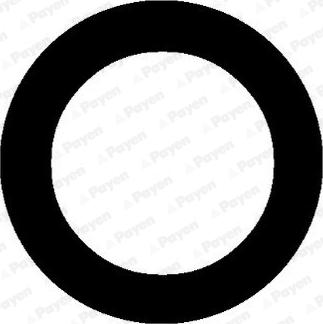 Payen PA459 - Guarnizione, Collettore aspirazione www.autoricambi360.it
