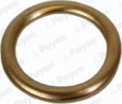 Payen PA217 - Anello di tenuta, vite di scarico olio www.autoricambi360.it