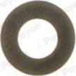 Payen PA229 - Anello tenuta, Stelo valvola www.autoricambi360.it