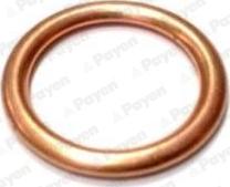 Payen PB907 - Anello di tenuta, vite di scarico olio www.autoricambi360.it