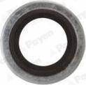 Payen PB852 - Anello di tenuta, vite di scarico olio www.autoricambi360.it