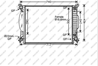 Prasco AD020R008 - Radiatore, Raffreddamento motore www.autoricambi360.it