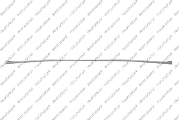 Prasco BM0501255 - Modanatura decorativa / protettiva, Paraurti www.autoricambi360.it