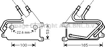 Prasco BW3315 - Radiatore olio, Cambio automatico www.autoricambi360.it