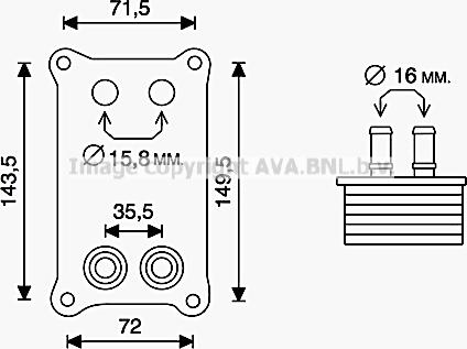 Prasco FD3623 - Radiatore olio, Olio motore www.autoricambi360.it