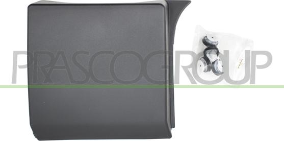 Prasco FT9001406 - Modanatura decorativa / protettiva, Portiera www.autoricambi360.it