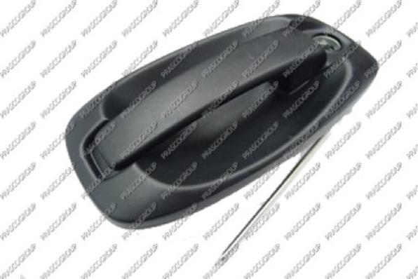 Prasco FT9078002 - Maniglia apriporta www.autoricambi360.it