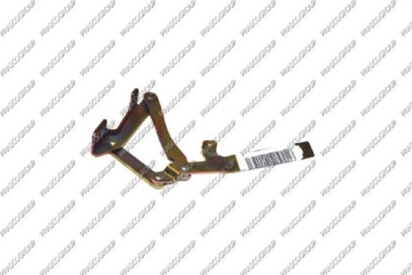 Prasco FT9193704 - Cerniera, Cofano motore www.autoricambi360.it