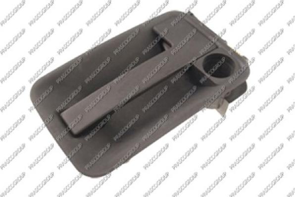 Prasco FT9218301 - Maniglia apriporta www.autoricambi360.it