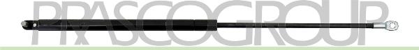 Prasco FT1219065 - Ammortizatore pneumatico, Cofano bagagli / vano carico www.autoricambi360.it