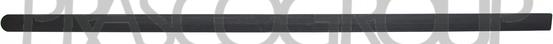 Prasco OP0301434 - Modanatura decorativa / protettiva, Portiera www.autoricambi360.it
