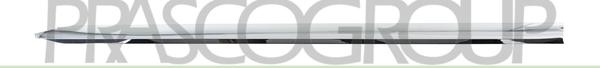Prasco RN3321414 - Modanatura decorativa / protettiva, Portiera www.autoricambi360.it