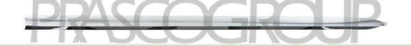 Prasco RN3321413 - Modanatura decorativa / protettiva, Portiera www.autoricambi360.it