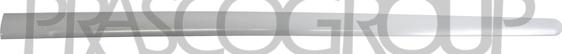 Prasco VG0401424 - Modanatura decorativa / protettiva, Portiera www.autoricambi360.it