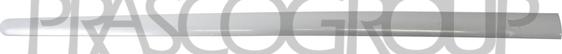 Prasco VG0401423 - Modanatura decorativa / protettiva, Portiera www.autoricambi360.it