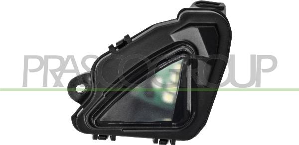 Prasco VG7707417 - Luce ambiente, Specchio esterno www.autoricambi360.it