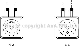 Prasco VN3148 - Radiatore olio, Olio motore www.autoricambi360.it