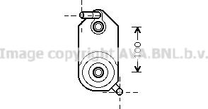 Prasco VN3110 - Radiatore olio, Cambio automatico www.autoricambi360.it