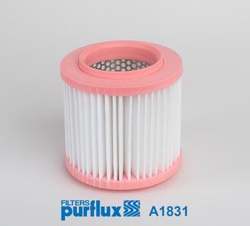 Purflux A1831 - Filtro aria www.autoricambi360.it