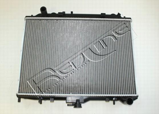 Red Line 51GW000 - Radiatore, Raffreddamento motore www.autoricambi360.it