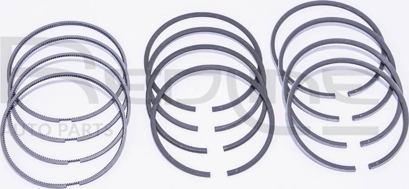 Red Line 04NI081 - Kit fasce elastiche www.autoricambi360.it