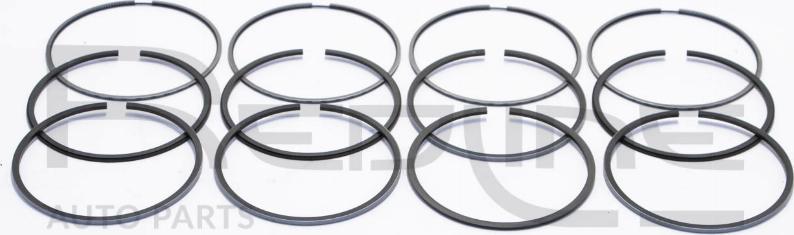 Red Line 04NI078 - Kit fasce elastiche www.autoricambi360.it