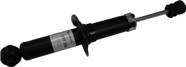 SACHS 317 252 - Ammortizzatore www.autoricambi360.it