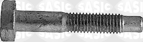 Sasic 5223433 - Vite di fermo, Snodo portante / di guida www.autoricambi360.it