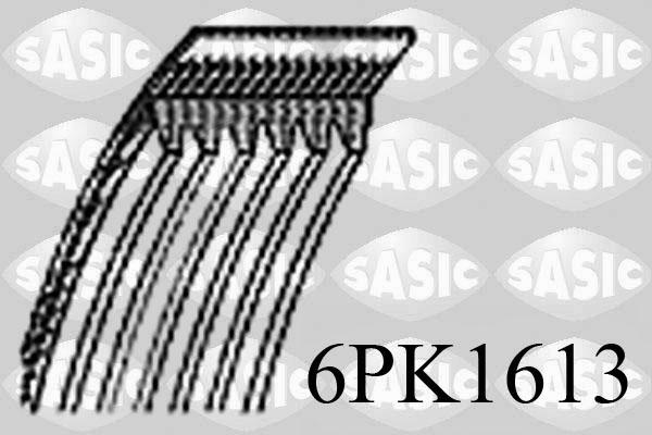 Sasic 6PK1613 - Cinghia Poly-V www.autoricambi360.it