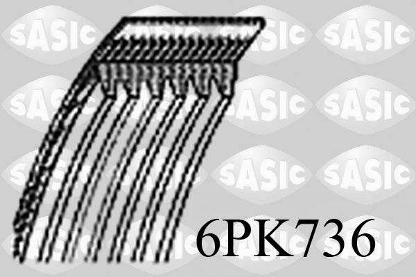 Sasic 6PK736 - Cinghia Poly-V www.autoricambi360.it