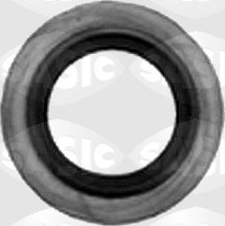 Sasic 1640540 - Anello di tenuta, vite di scarico olio www.autoricambi360.it