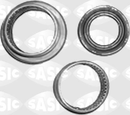 Sasic 1005117 - Kit riparazione, Corpo assiale www.autoricambi360.it