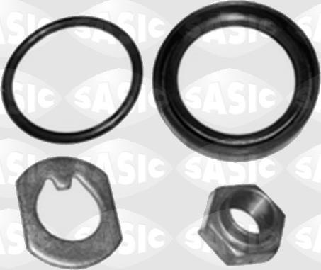 Sasic 1003722 - Kit riparazione, Corpo assiale www.autoricambi360.it