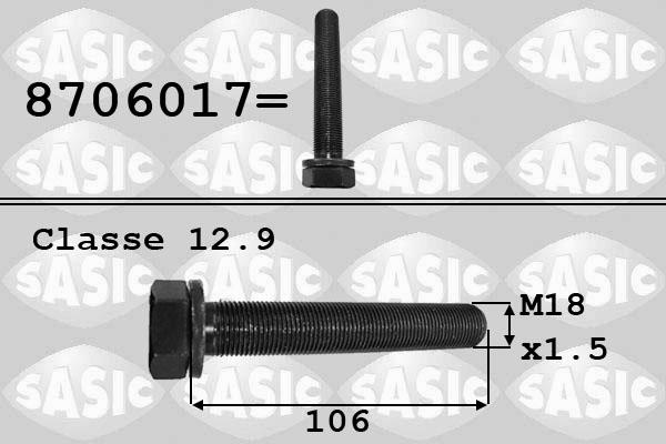 Sasic 8706017 - Bullone puleggia www.autoricambi360.it