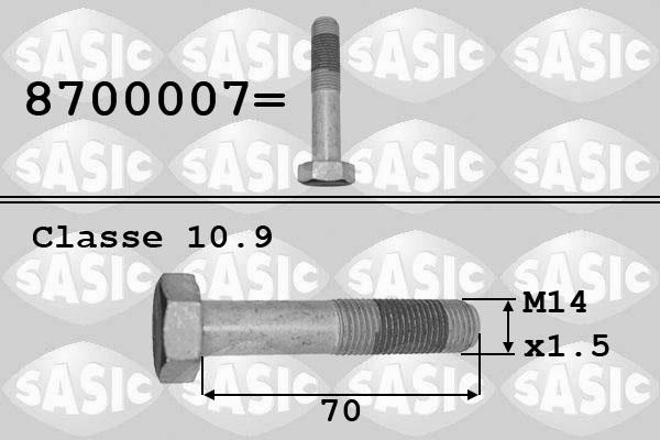 Sasic 8700007 - Bullone puleggia www.autoricambi360.it