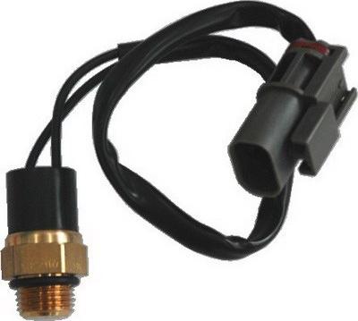Sidat 82.428 - Termocontatto, Ventola radiatore www.autoricambi360.it