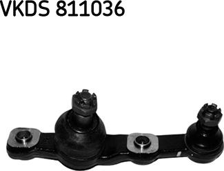 SKF VKDS 811036 - Giunto di supporto / guida www.autoricambi360.it