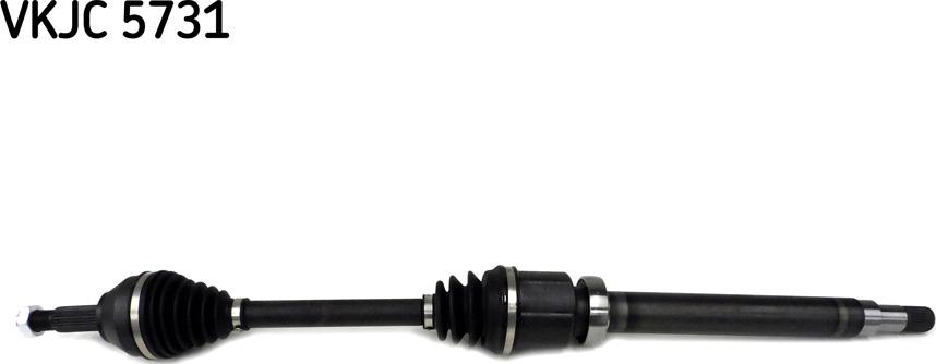 SKF VKJC 5731 - Albero motore / Semiasse www.autoricambi360.it